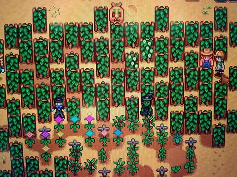 我的世界啤酒花怎么种